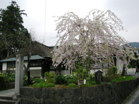 桜のお屋敷